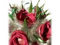 image00007