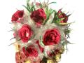 image00012