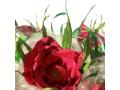 image00008++