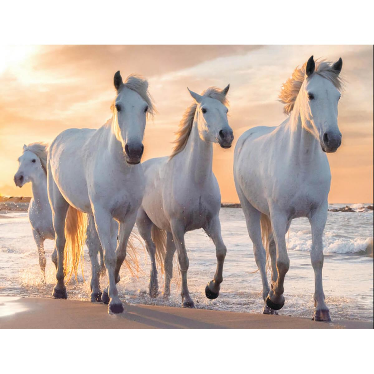 laukiniai balti arkliai zirgai papludymyje prie juros blizganciu deimantuku deliojamas  paveikslas dovana teciui sunui vaikinui seneliui anukui krikstasuniui broliui vaikinui