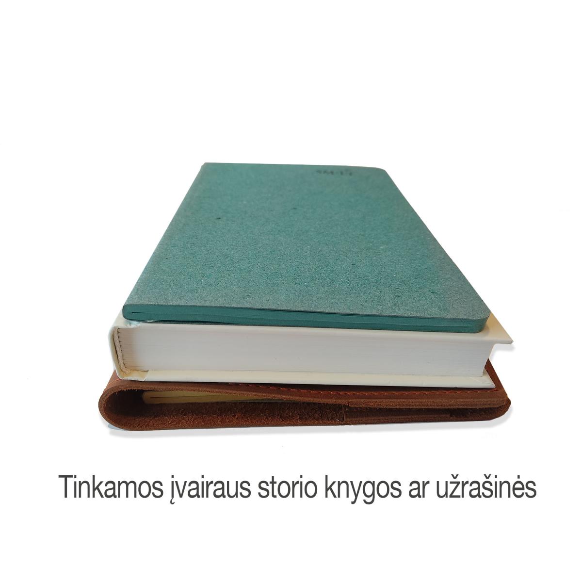 [ Prisitaikancio storio uzrasine