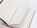 Odinė užrašinė – Lrg Dark Tan Daily Notebook - 20x15cm