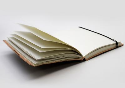 Odinė užrašinė – Medium Notebook with strap - Palmistry