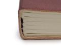 Odinė užrašinė – Medium Notebook with strap - Palmistry