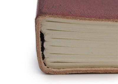 Odinė užrašinė – Medium Notebook with strap - Tree of Life
